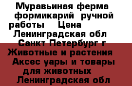 Муравьиная ферма (формикарий) ручной работы. › Цена ­ 15 000 - Ленинградская обл., Санкт-Петербург г. Животные и растения » Аксесcуары и товары для животных   . Ленинградская обл.